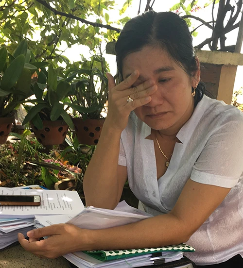 Chuyện bà Mai Thi ‘lên bờ xuống ruộng’ ảnh 2