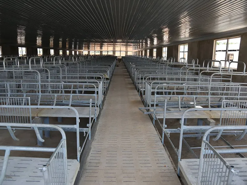 Trại heo khủng đe dọa nguồn nước đầu nguồn TP.HCM ảnh 2