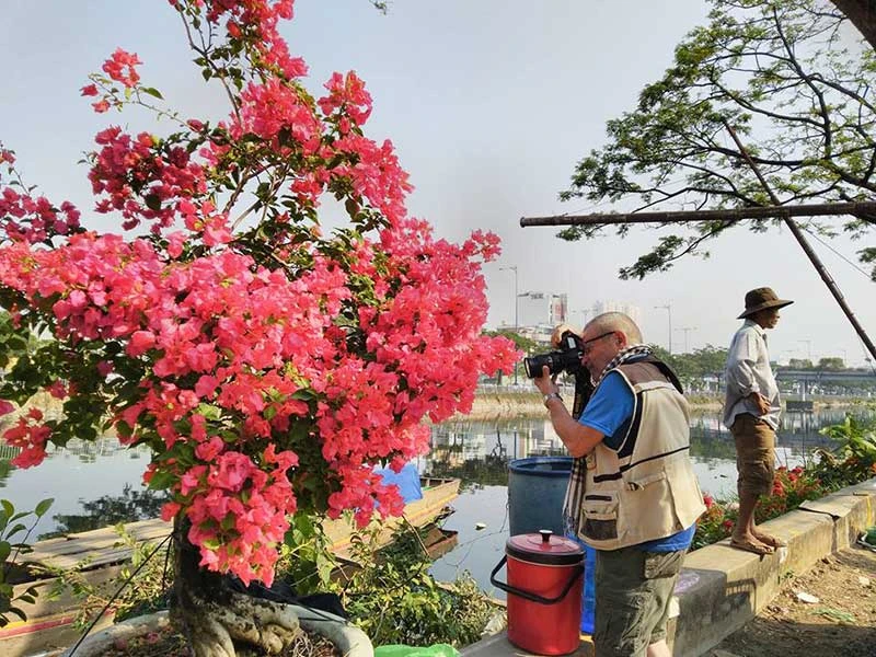 Hoa đẹp, kiểng lạ 4 phương tràn ngập TP.HCM ảnh 2 Hoa đẹp, kiểng lạ 4 phương tràn ngập TP.HCM ảnh 2