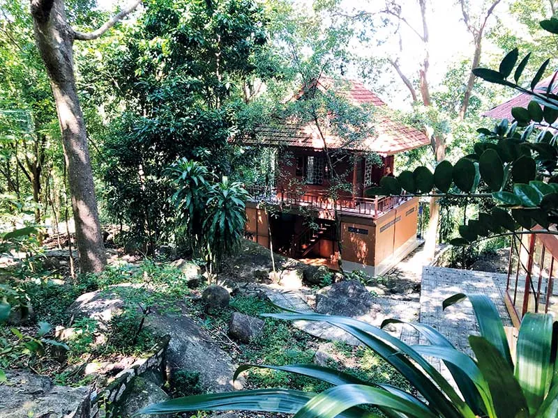 Rời Sài Gòn, về chùa trong mây núi ảnh 4