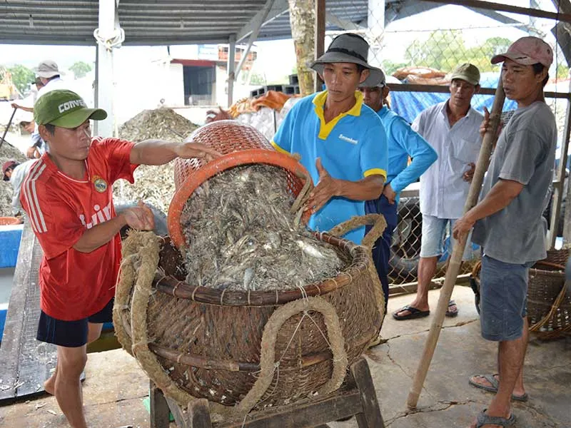 Dự thảo sản xuất nước mắm: ‘Không đáp ứng được cũng không sao ảnh 3