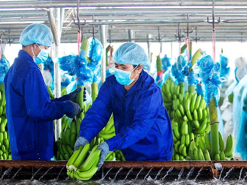 Chủ tịch Thaco: ‘Tôi đang bắt tay với 2 đại gia giỏi’ ảnh 4