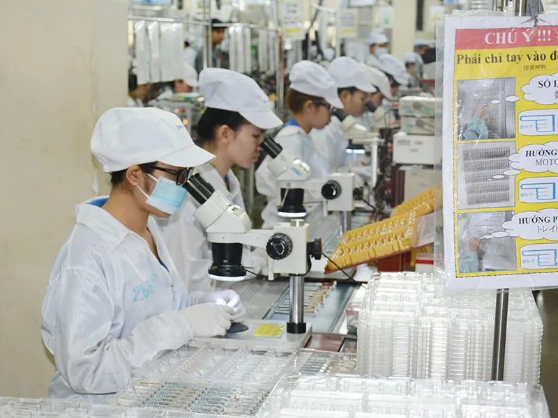 Thuế thu nhập cá nhân vẫn tăng dù thất nghiệp nhiều ảnh 2