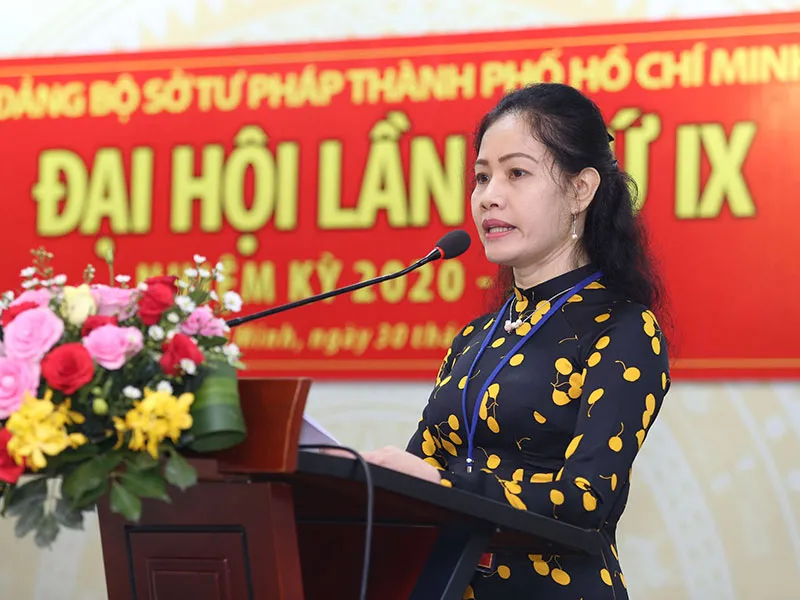 Chính quyền đô thị TP.HCM: Cần thiết và cấp bách! ảnh 2