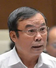 Chính quyền đô thị TP.HCM: Làm luôn, không thí điểm ảnh 6