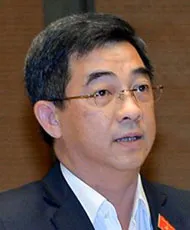 Chính quyền đô thị TP.HCM: Làm luôn, không thí điểm ảnh 4