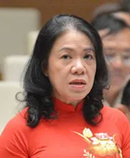 Chính quyền đô thị TP.HCM: Làm luôn, không thí điểm ảnh 5