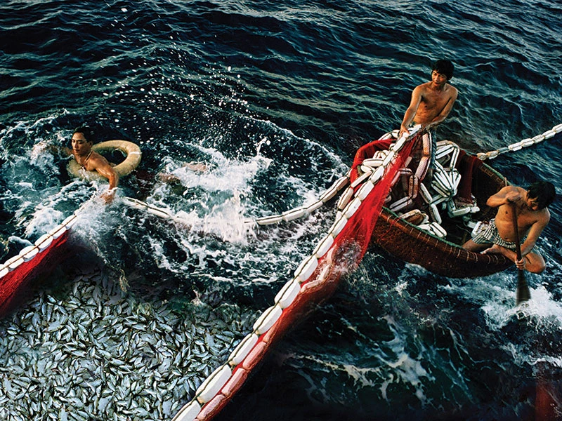 Bãi biển Đồi Dương (Phan Thiết, Bình Thuận) do biển xâm thực gây xói lở, người dân địa phương dùng cọc để tạm thời chống sạt lở trong khi chờ xây kè kiên cố.