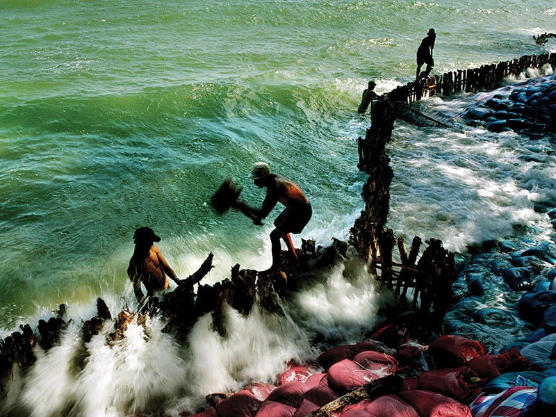 Mùa cá tại Bình Thuận. (Ảnh chụp tại biển Phan Thiết, cách bờ hơn 2 giờ ghe chạy)