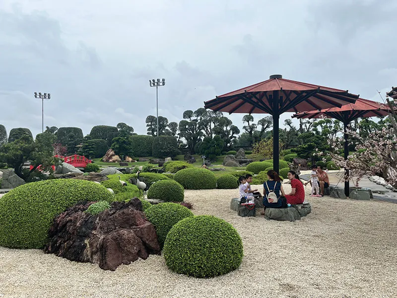 Tạo hình những cây bonsai bắt mắt tại Công viên Cá Koi.