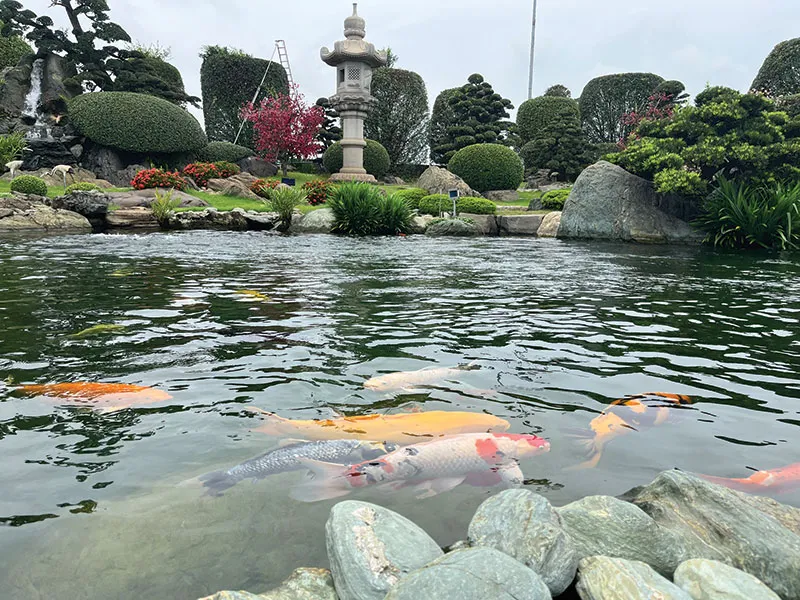 Công viên Cá Koi (huyện Hóc Môn).