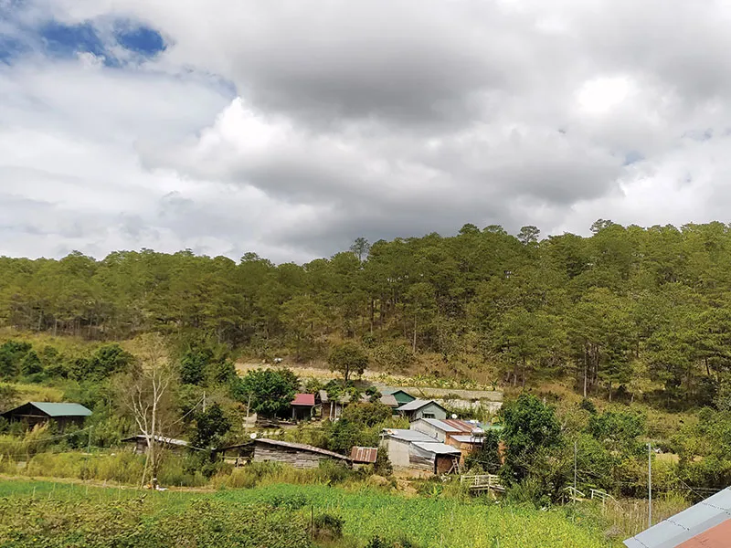 Những nếp nhà lá nấp dưới những tán cây bao quanh bởi núi rừng, nơi hàm dưỡng năng lượng an lành cho những người đến đây.