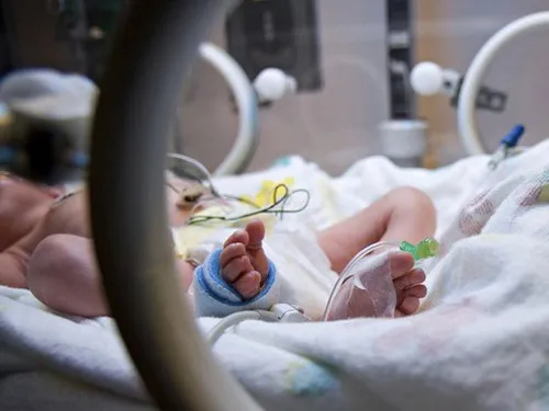 Nữ sinh Nhật sinh con trong toilet, vứt bỏ xuống sông ảnh 1