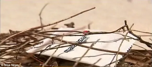 Bất ngờ tìm được manh mối điều tra vụ mất tích MH370 ảnh 1 Bất ngờ tìm được manh mối điều tra vụ mất tích MH370 ảnh 1