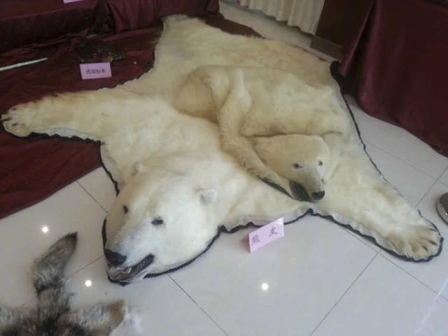 Bắc Kinh bắt nhóm buôn động vật hoang dã hàng triệu USD ảnh 1