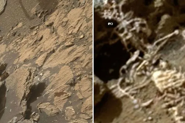 Hình ảnh bên phải được cho là xương người sao Hỏa được ghi lại bởi tàu Curiosity của NASA