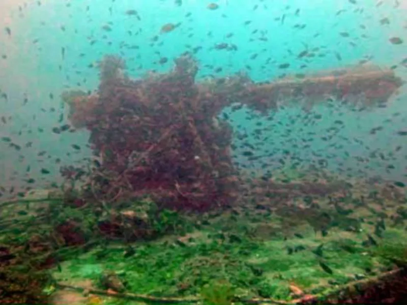 Phát hiện xác chiến hạm Nhật đến VN bị đắm năm 1944 