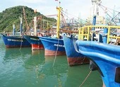 Báo cáo Thủ tướng vụ không bán bảo hiểm cho tàu cá đóng mới