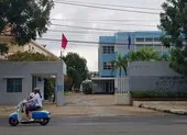 Vụ mua máy Realtime PCR ở Quảng Nam: Công an đã nắm vụ việc ảnh 3 Quảng Nam mua hệ thống xét nghiệm Realtime PCR giá 7,2 tỉ