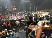 Quán bar ở Quảng Nam hoạt động bất chấp lệnh cấm ảnh 3 Công an kiểm tra quán bar, hàng trăm người bị đưa lên phường