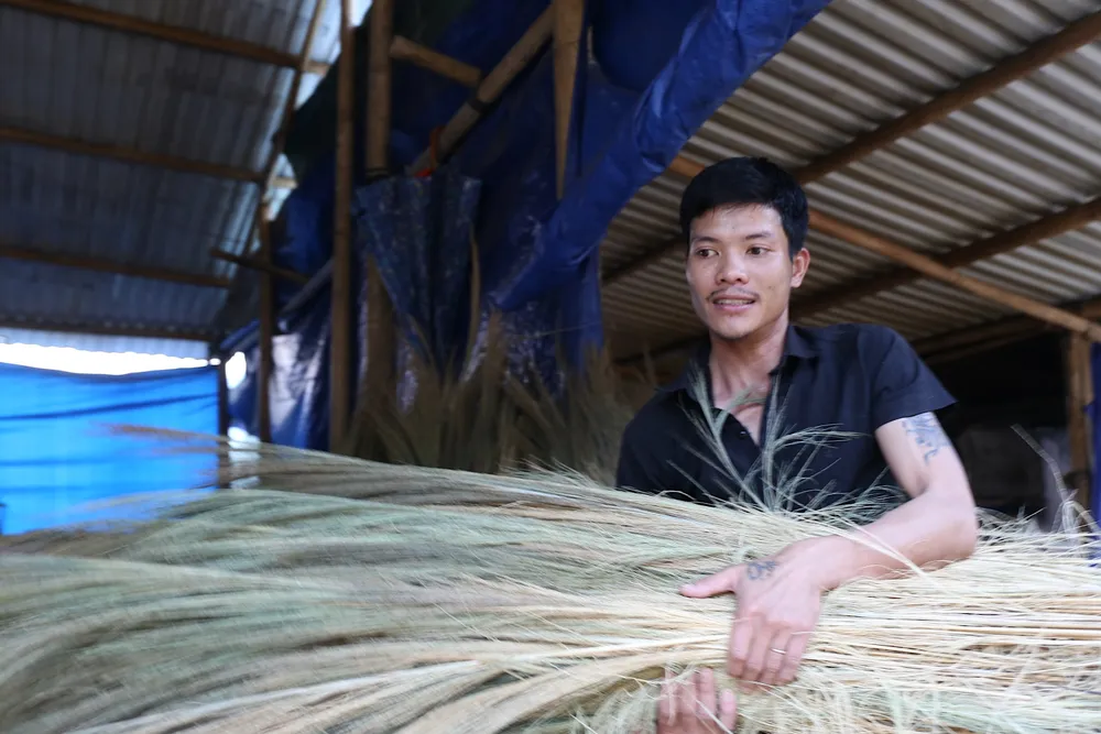 Anh Lưu Đức Cảnh (30 tuổi, quê ở huyện Tiên Phước, Quảng Nam; làm việc ở xã Trà Tập, huyện Nam Trà My), cho biết mùa đót ở huyện Nam Trà My kéo dài hơn một tháng, thường bắt đầu từ cuối tháng chạp đến đầu tháng 2 Âm lịch. Tuỳ theo sức khoẻ, người làm nhiều, ít khác nhau sẽ thu được lượng đót khác nhau. Anh Lưu Đức Cảnh (30 tuổi, quê ở huyện Tiên Phước, Quảng Nam; làm việc ở xã Trà Tập, huyện Nam Trà My), cho biết mùa đót ở huyện Nam Trà My kéo dài hơn một tháng, thường bắt đầu từ cuối tháng chạp đến đầu tháng 2 Âm lịch. Tuỳ theo sức khoẻ, người làm nhiều, ít khác nhau sẽ thu được lượng đót khác nhau.