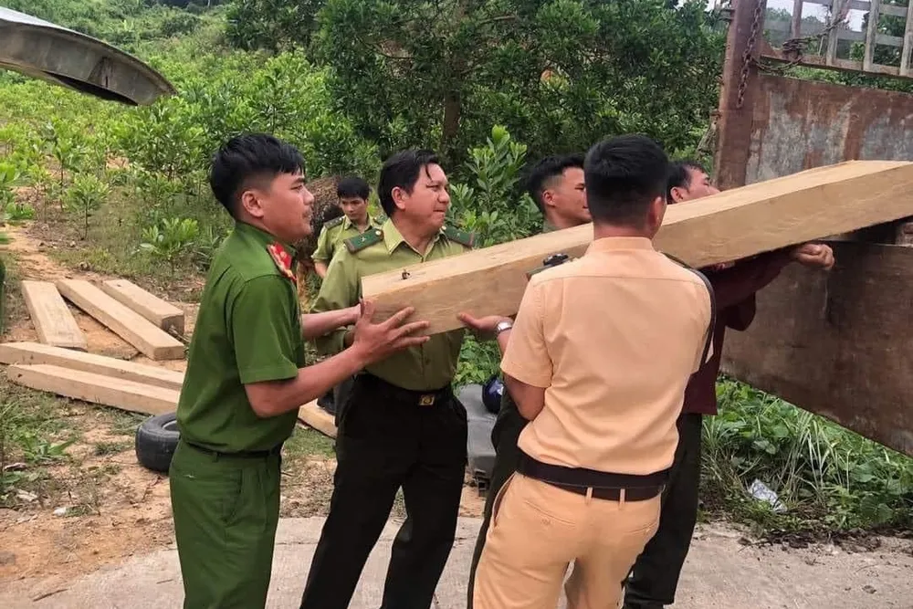 Lực lượng chức năng tạm giữ số gỗ lậu để tiếp tục điều tra, làm rõ
