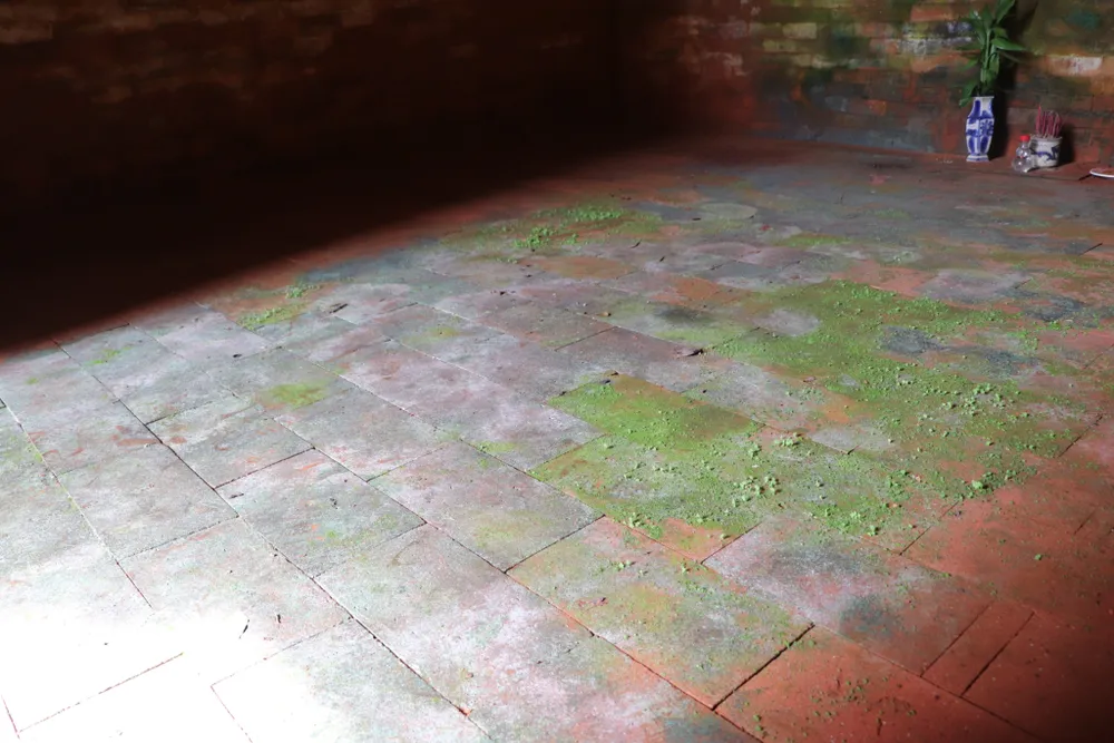 Bề mặt sàn cũng xuất hiện rêu và hiện tượng vệt trắng. Ảnh: TN Bề mặt sàn cũng xuất hiện rêu và hiện tượng vệt trắng. Ảnh: TN