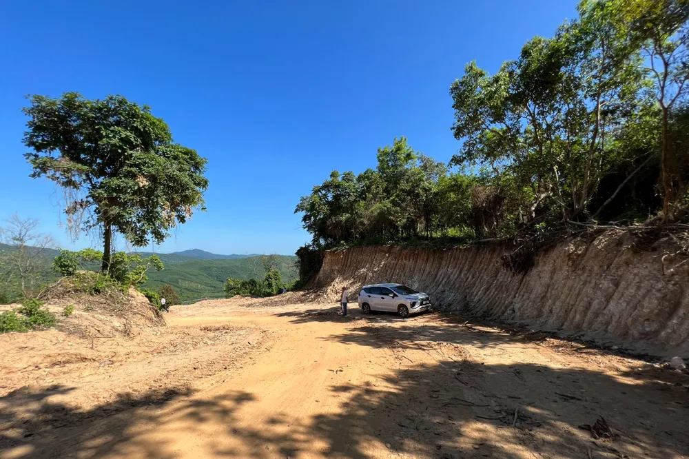 Chủ tịch UBND tỉnh Quảng Ngãi yêu cầu báo cáo vụ phá rừng tự nhiên mở đường. Ảnh: TN