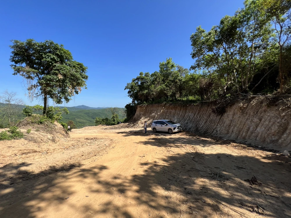 Hiện trạng vụ phá rừng tự nhiên mở đường công vụ thi công cao tốc. Ảnh: TN