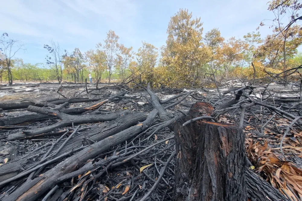Hiện trường sau buổi diễn tập chữa cháy rừng. Ảnh: THANH NHẬT Hiện trường sau buổi diễn tập chữa cháy rừng. Ảnh: THANH NHẬT