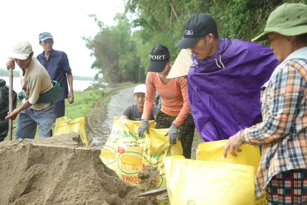 200 người vùng rốn lũ Quảng Nam cùng nhau vá đoạn bờ sông bị sạt lở