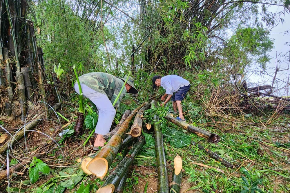 200 người vùng rốn lũ Quảng Nam cùng nhau vá đoạn bờ sông bị sạt lở
