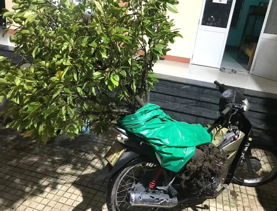 Công an thu giữ tang vật do Hải cháy ăn trộm.