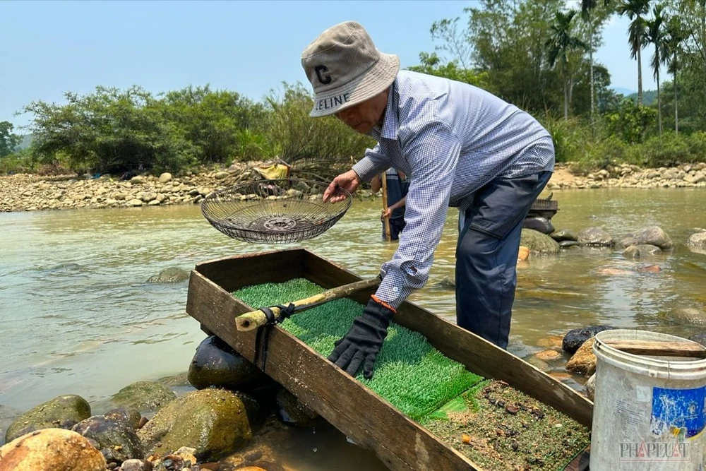 Người dân miền núi Quảng Nam xuống sông tìm vàng