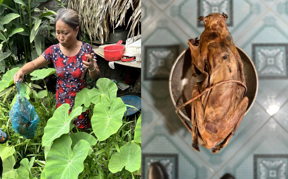 Mua bán động vật quý hiếm, bà Tom bị công an bắt giữ. Ảnh: CA Mua bán động vật quý hiếm, bà Tom bị công an bắt giữ. Ảnh: CA
