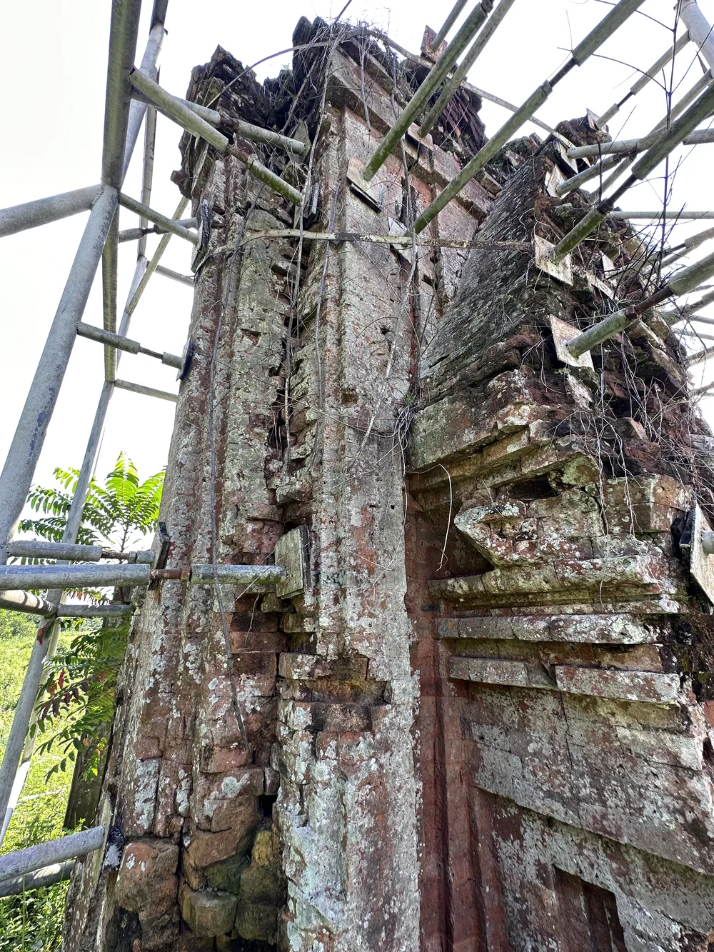 phat-vien-dong-duong-10.JPG