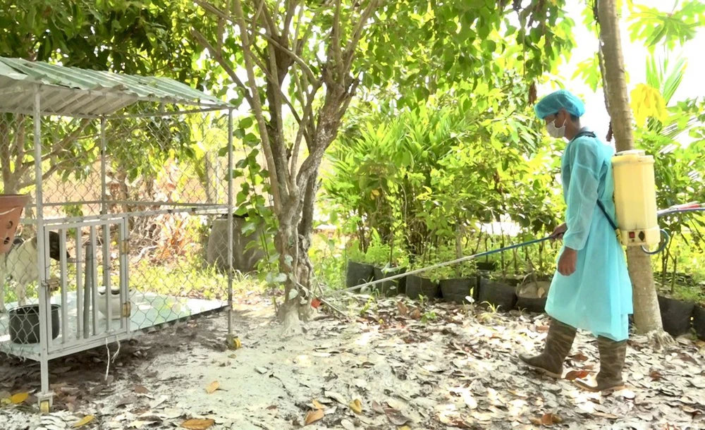 Huyện Nông Sơn công bố dịch bệnh chó dại (minh hoạ). Ảnh: PLO