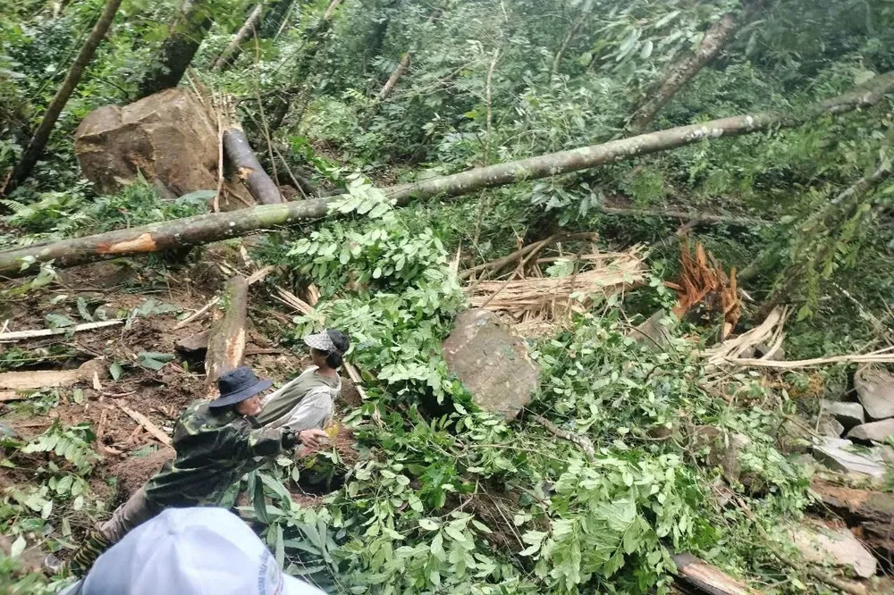 Sau động đất, hàng chục tảng đá từ trên núi lăn xuống. Ảnh: CTV