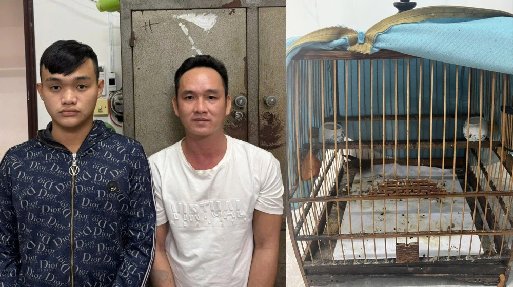 Vinh và Bình cùng nhau thực hiện vụ cướp Vinh và Bình cùng nhau thực hiện vụ cướp giật lồng chim chào mào xảy ra trên địa bàn huyện Duy Xuyên. Ảnh: CAgiật lồng chim chào mào xảy ra trên địa bàn huyện Duy Xuyên. Ảnh: CA