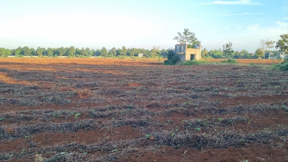 thi hành án 10.jpg