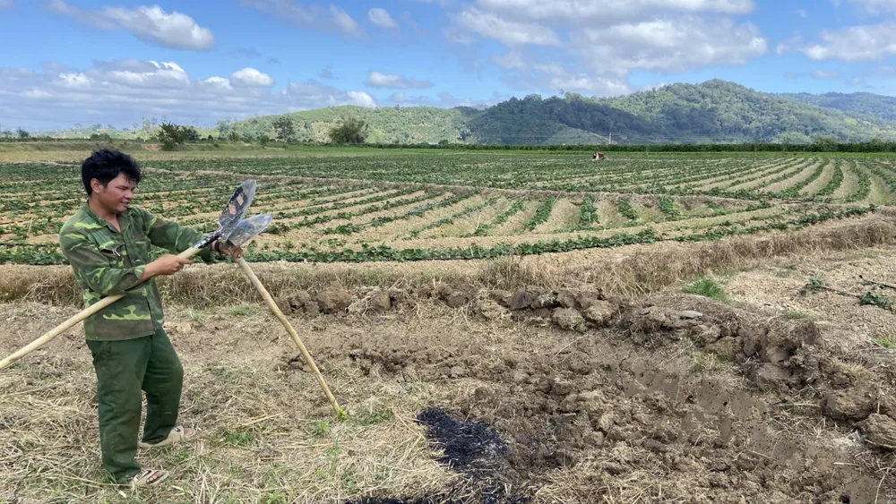 Đoạn kênh bị sạt lở, không thể dẫn nước. Ảnh: Y.K