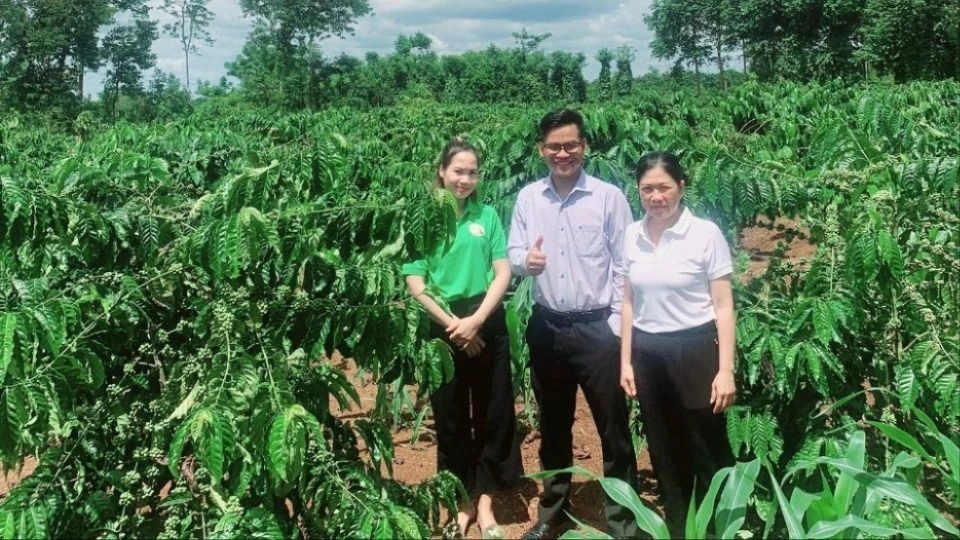 Việc ông Y Pốt mở rộng vùng trồng cà phê hữu cơ được bà con trong buôn làng hưởng ứng