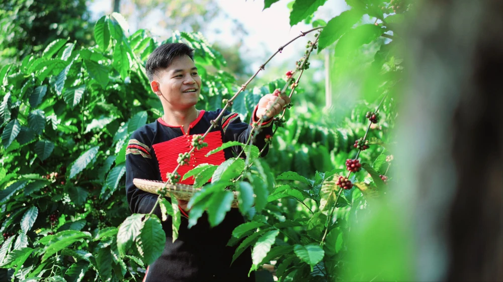 Ông Y Pốt Niê. Ảnh: NVCC