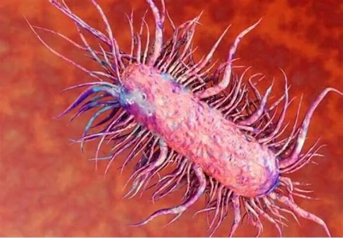 ăn thịt người.jpg