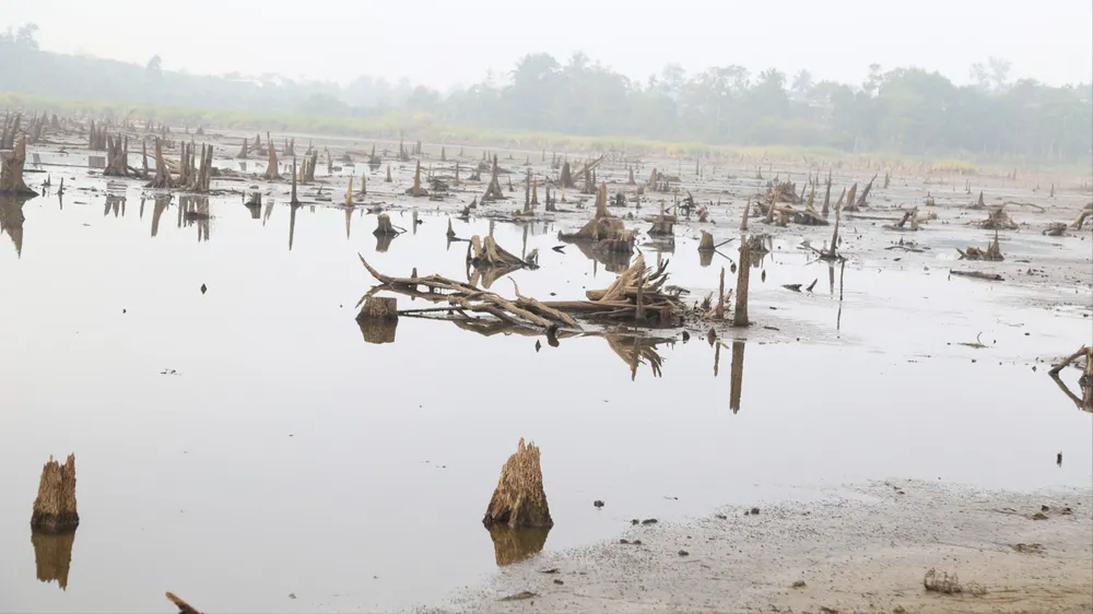 thiếu nước 1.jpg