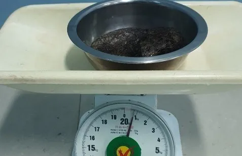 nghiện ăn tóc.jpg