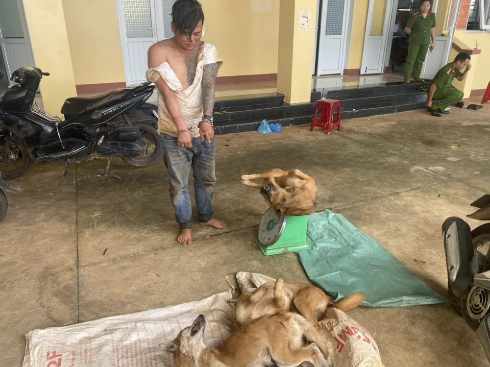 Chủ nhà bị đâm trọng thương khi bắt kẻ đánh bả để trộm chó