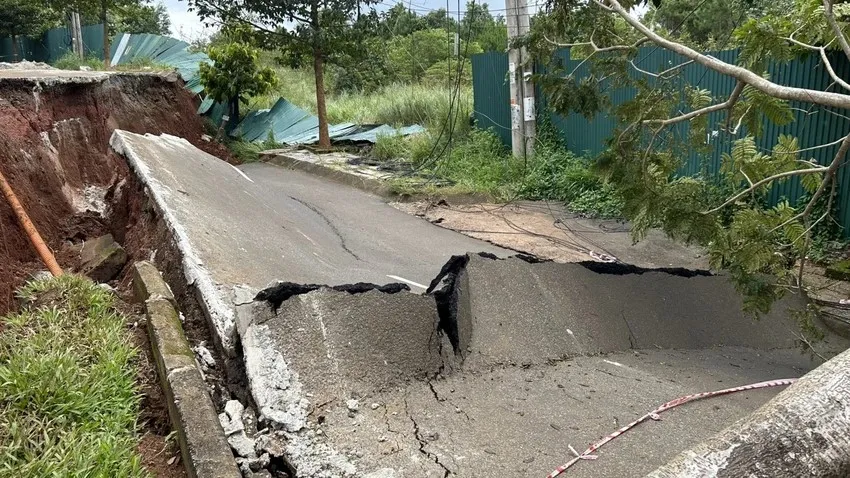 Đường Hồ Chí Minh 1.jpg