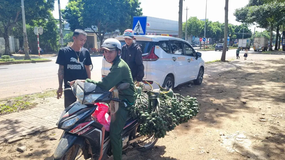 giá cau tăng cao 2.jpg