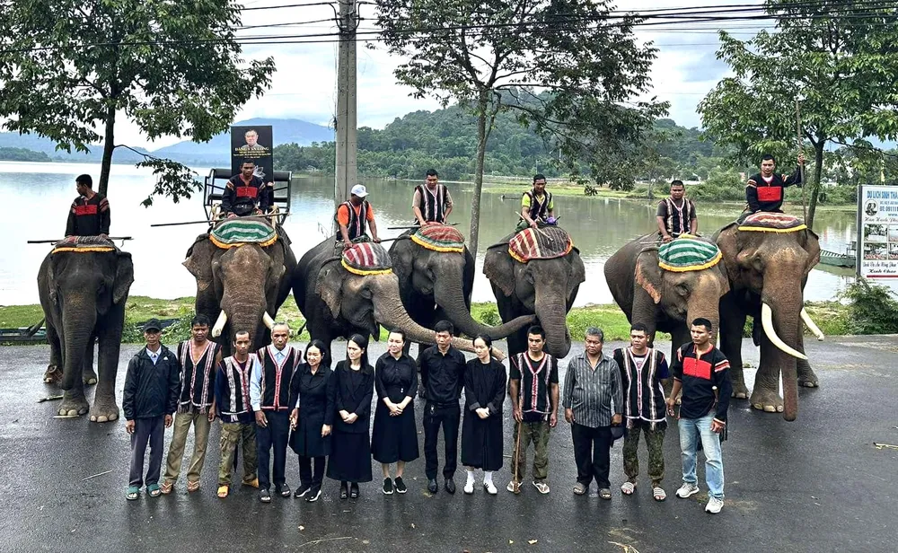 Đàng Năng Long.jpg